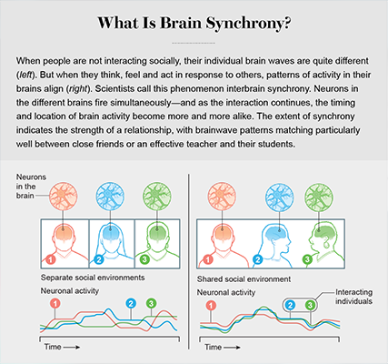 definition of brain synchonicity