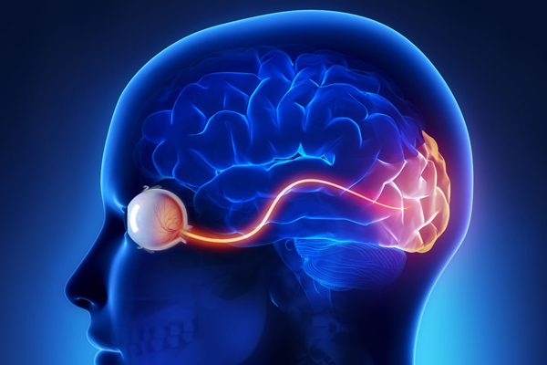 eye's mind