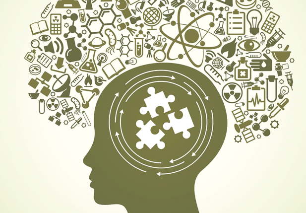 brain environment