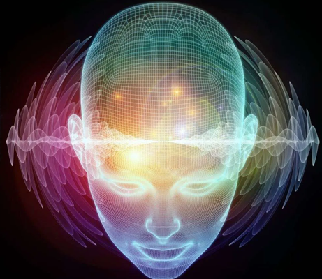 brain