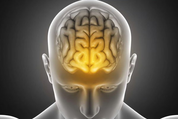 Brain Activity