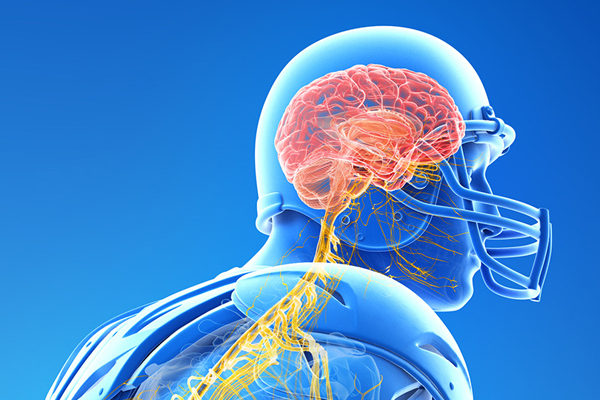 Athlete brain