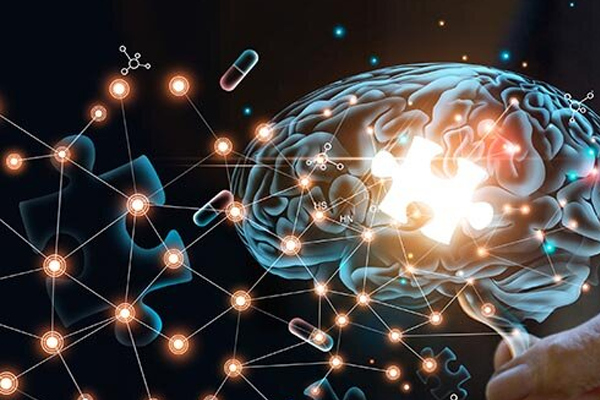 brain
