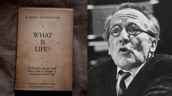 schrodinger - what is life